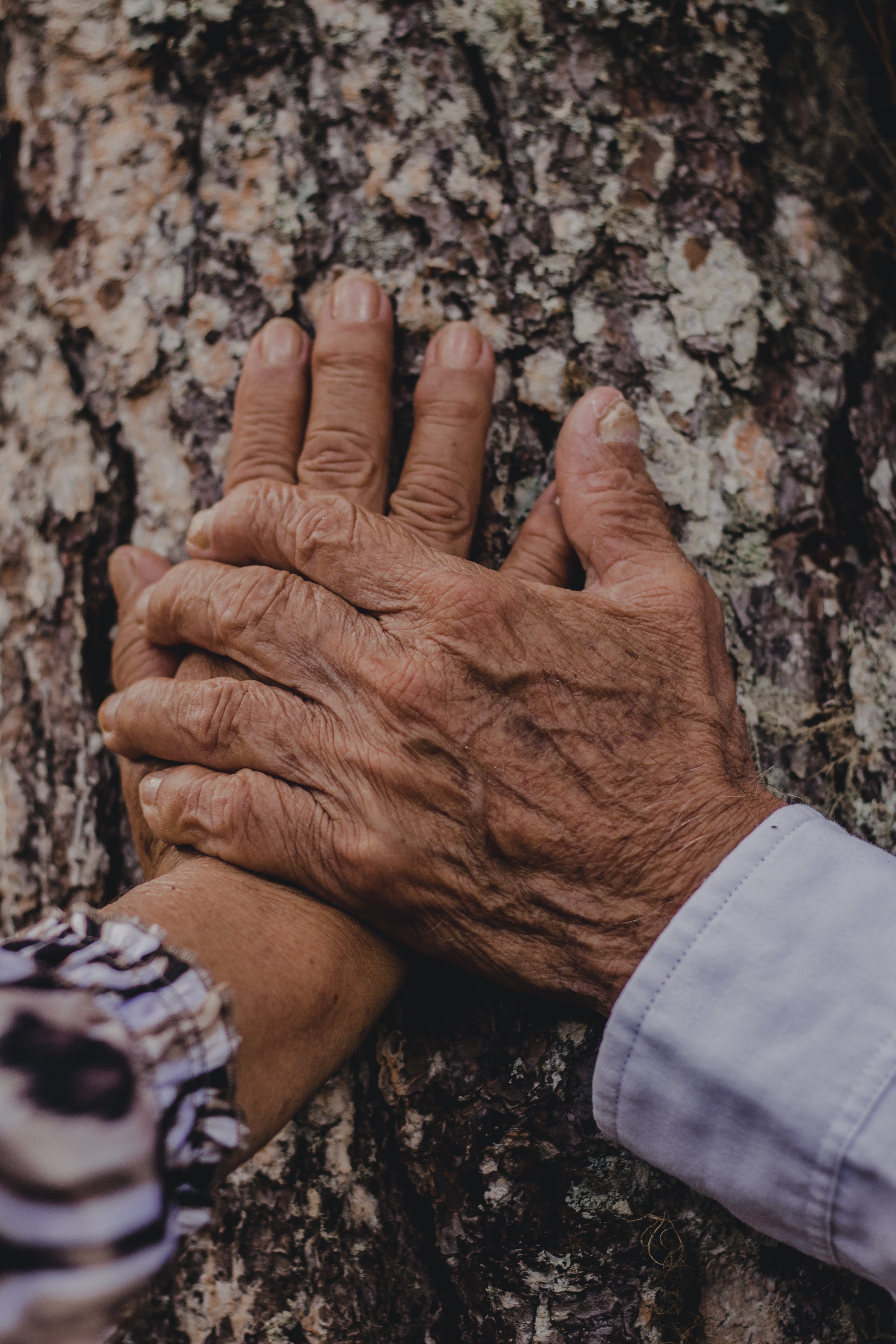 The universal landscape of love and belonging
